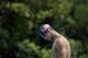 In this July 31, 2014 photo, Michael Phelps pauses before a training session at Meadowbrook Aquatic and Fitness Center in Baltimore. This is where Phelps put in most of the work to become the most decorated athlete in Olympic history. This is where he's looking to add to that legacy after an aborted retirement, his eyes firmly on the Rio Games two years away. (AP Photo/Patrick Semansky)