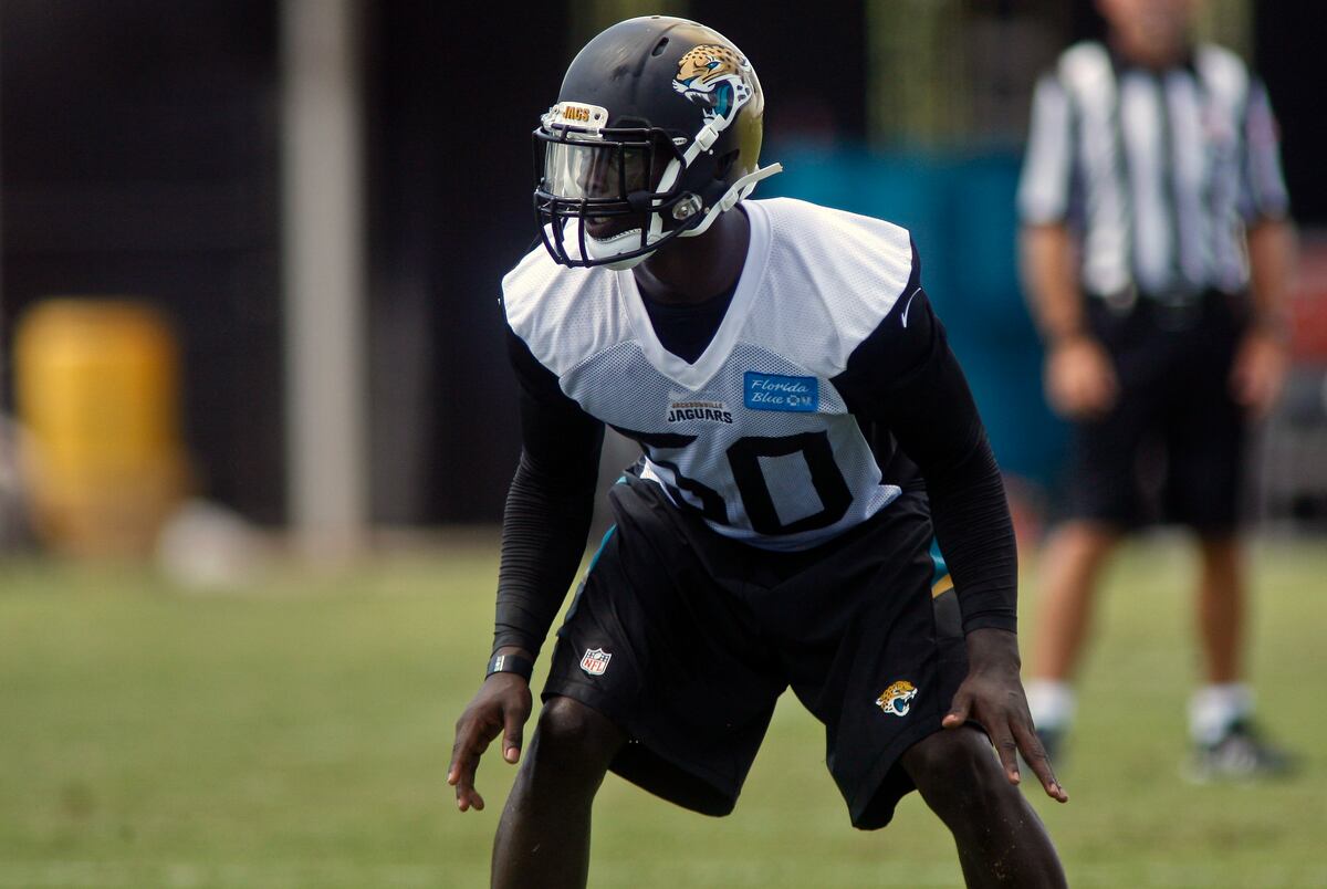 Jacksonville Jaguars Rookie Training Camp Progress Reports Bleacher