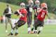 BEREA, OH - JULY 26: Quarterbacks Brian Hoyer