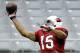 Arizona Cardinals receiver Michael Floyd makes a catch during an NFL football training camp, Tuesday, July 29, 2014, in Glendale, Ariz. (AP Photo/Matt York)