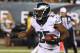 Aug 21, 2014; Philadelphia, PA, USA; Philadelphia Eagles running back LeSean McCoy (25) runs with the ball during the first quarter of a game against the Pittsburgh Steelers at Lincoln Financial Field. Mandatory Credit: Bill Streicher-USA TODAY Sports