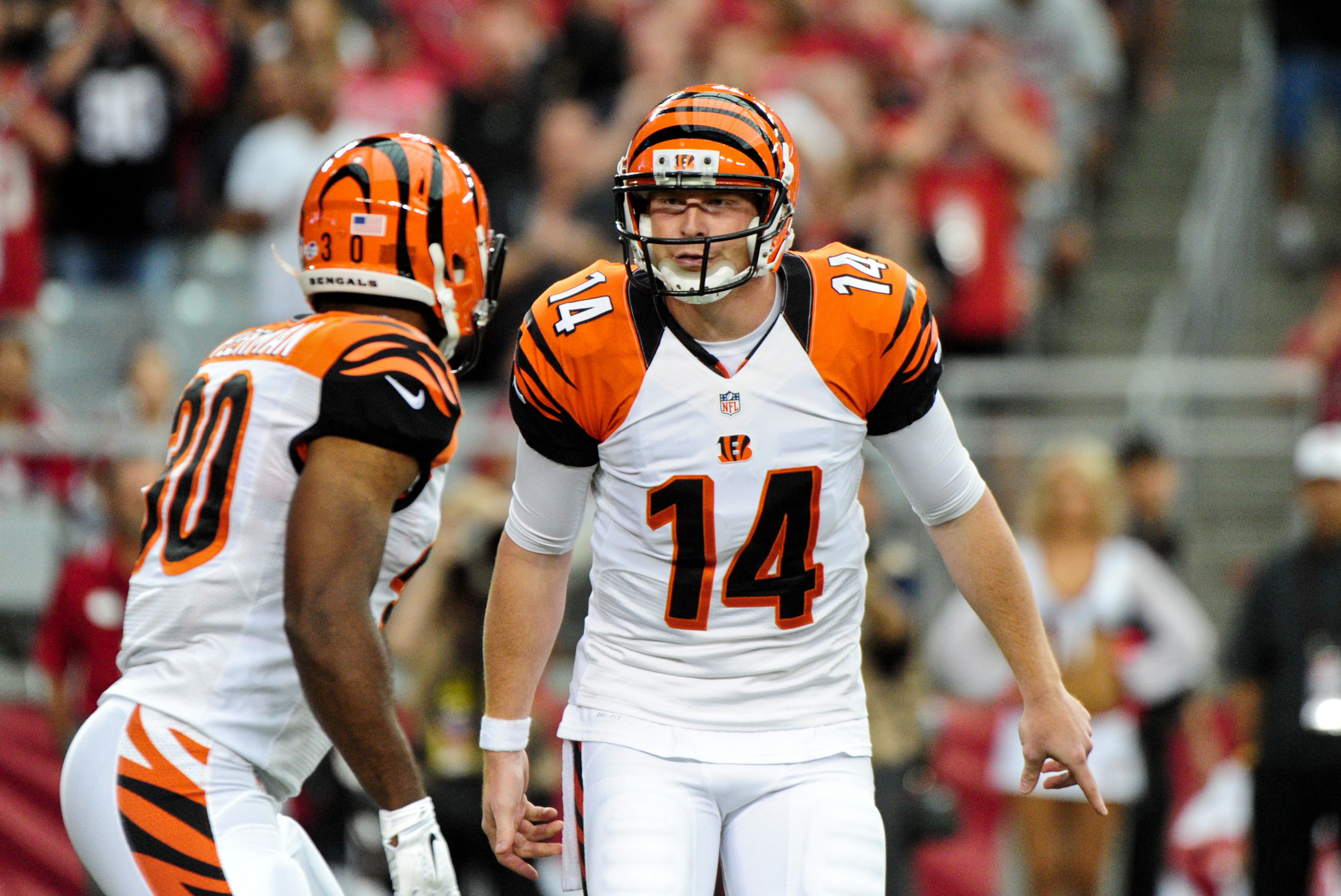 Indianapolis Colts at Cincinnati Bengals in NFL Preseason Week 4 - Cincy  Jungle