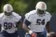DT Jeff Whitaker