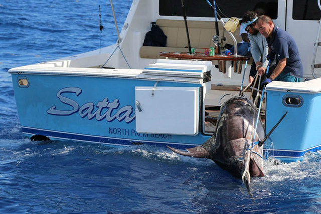17-Year-Old Catches 693-Pound Swordfish off Florida Coast
