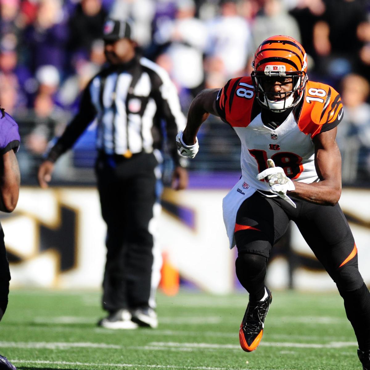 Cincinnati vs. Baltimore Bengals' Week 1 Game Preview News, Scores