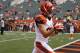 Cincinnati Bengals wide receiver Dane Sanzenbacher warms up prior to an NFL football game against the Atlanta Falcons, Sunday, Sept. 14, 2014, in Cincinnati. (AP Photo/Frank Victores)