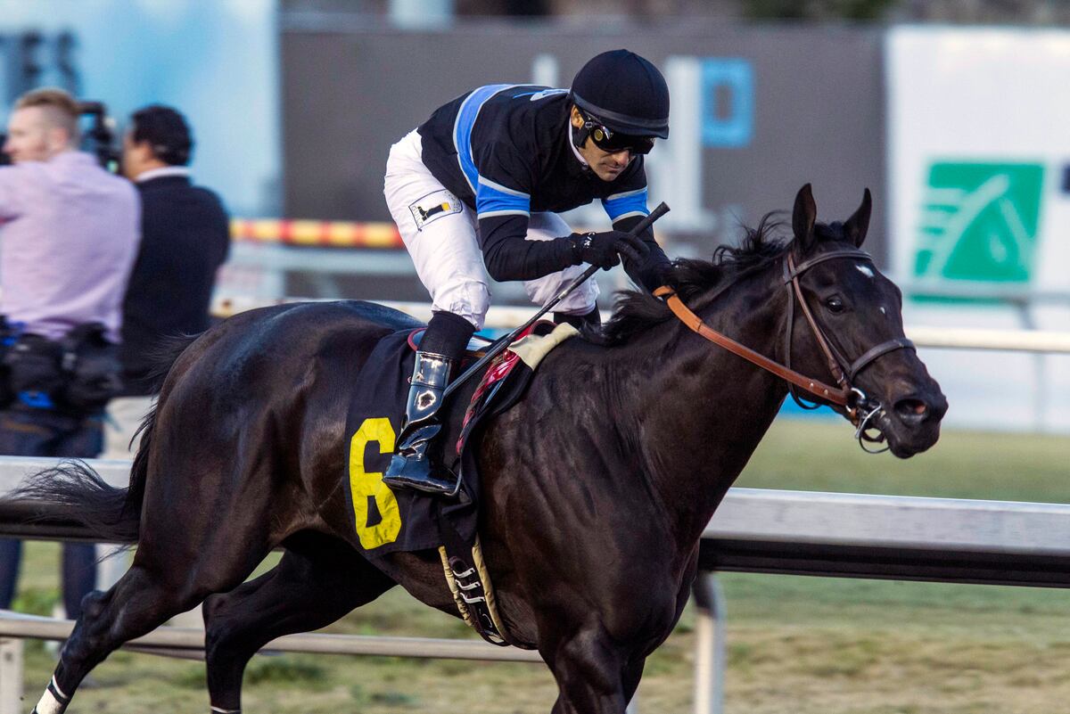 Jim Rome's Shared Belief Looking for Awesome Breeders' Cup Prep | News ...