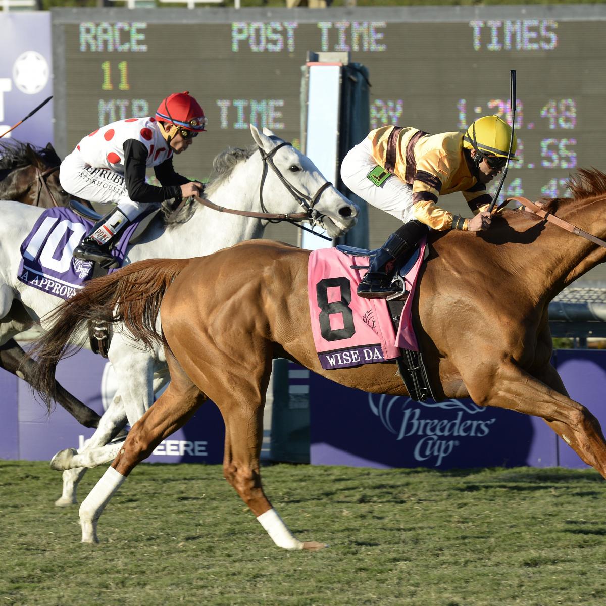 Wise Dan Tunes Up for Breeders' Cup in Shadwell Turf Mile News