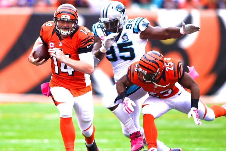 Carolina Panthers vs. Cincinnati Bengals: Final score and game recap