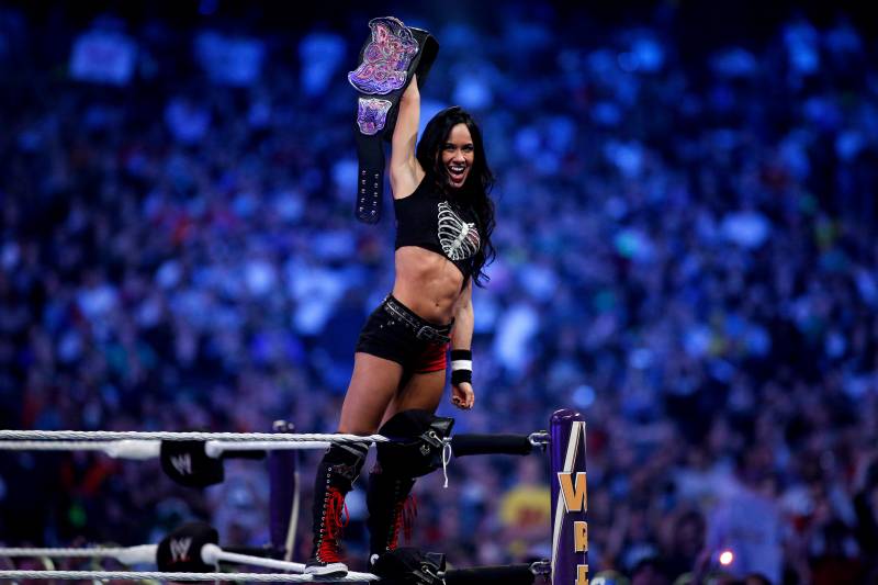 Aj Lee Alicia Fox - AJ Lee vs. Paige: Winner and Reaction from 2014 Hell in a ...