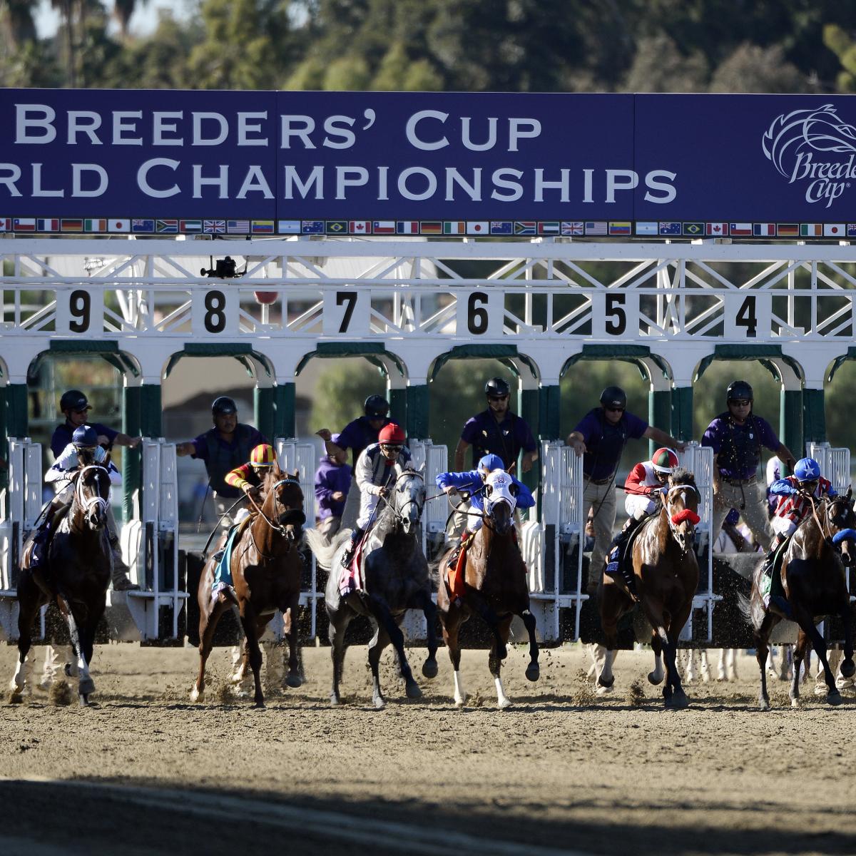 Breeders