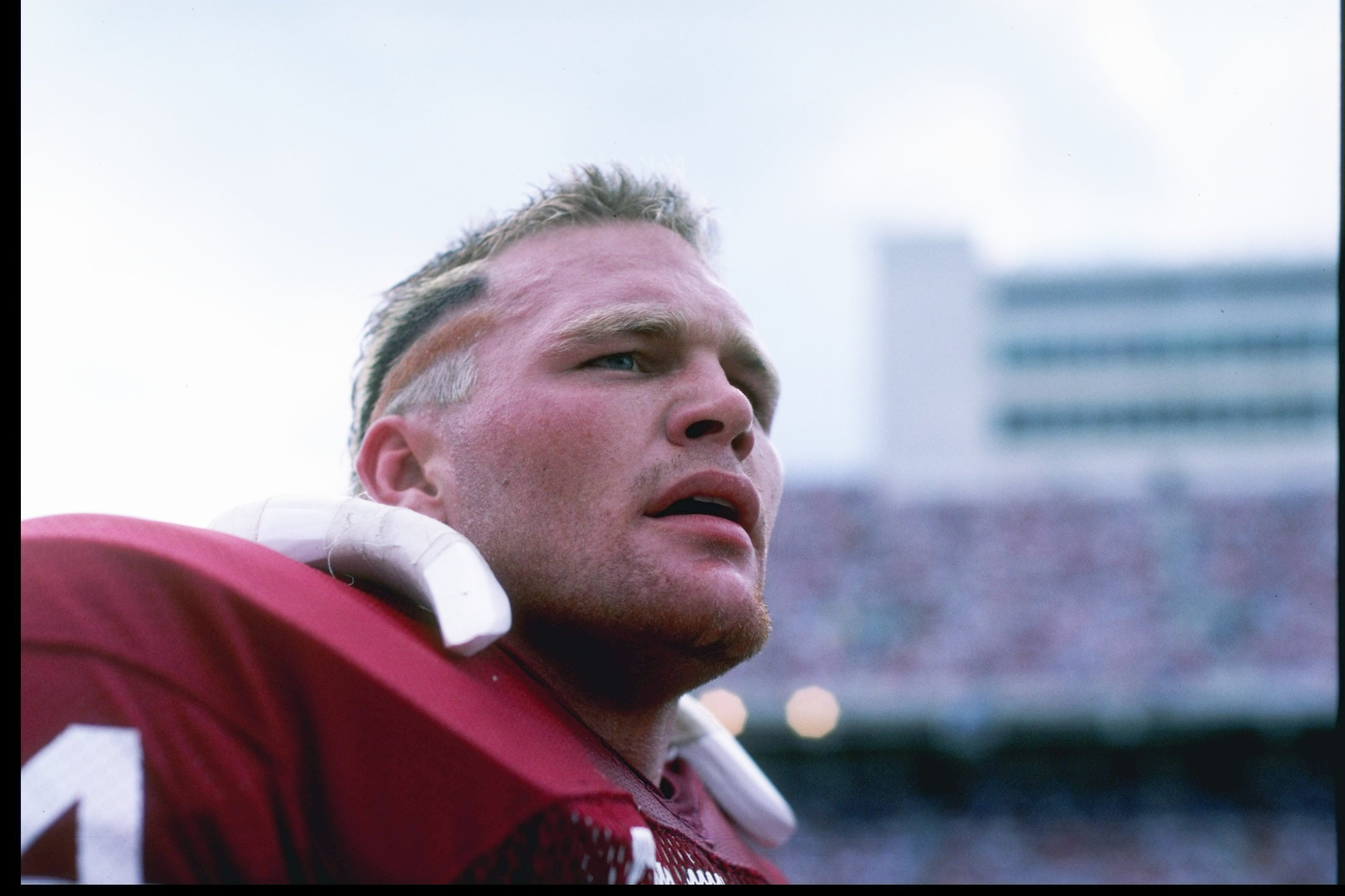Brian Bosworth Hair