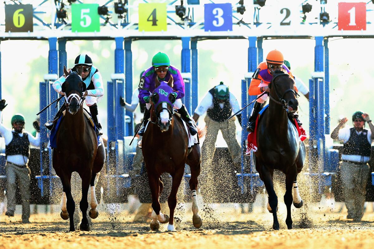 Breeders' Cup 2014 Power Ranking the Horses in This Year's Classic