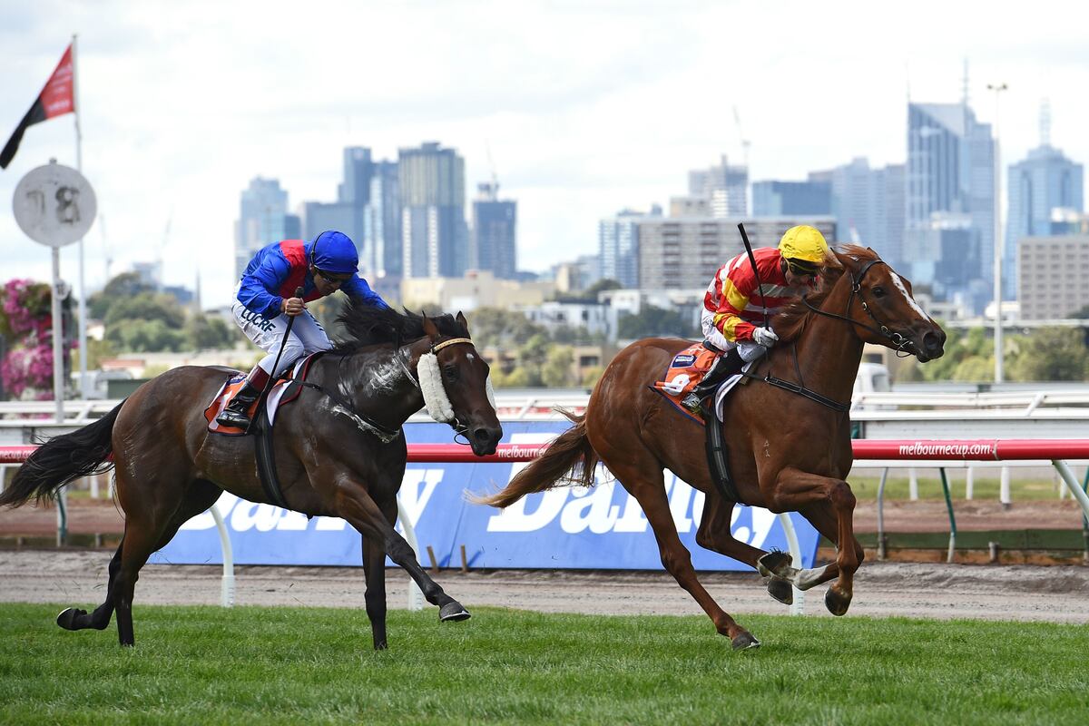 Breeders' Cup 2014 Full TV Schedule for Friday and Saturday Races
