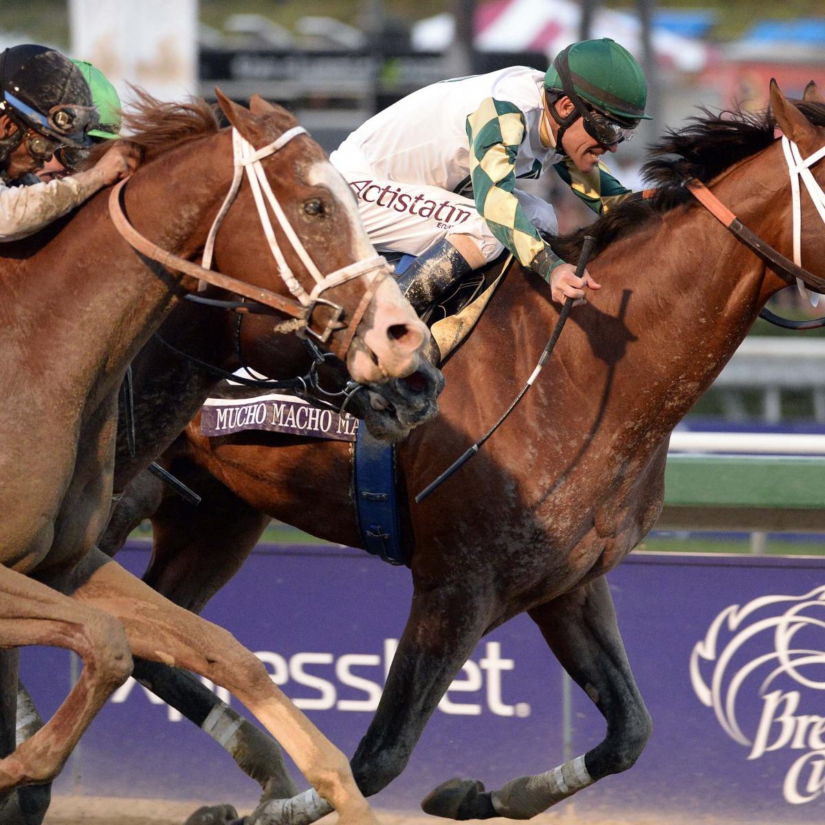 Breeders' Cup Odds 2014 10 Betting Tips from Handicapping Expert