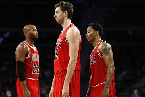 bulls number 15
