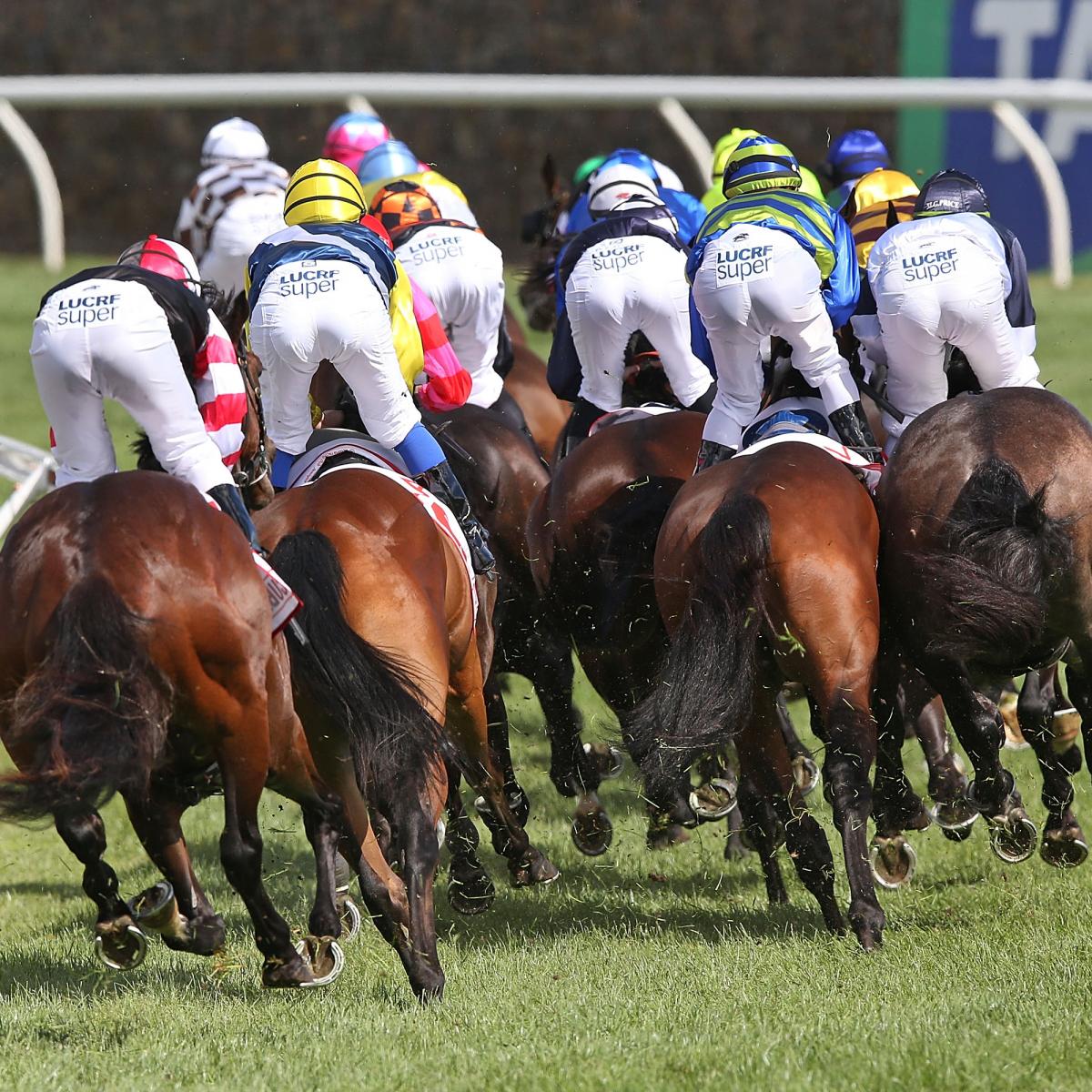 Melbourne cup run time