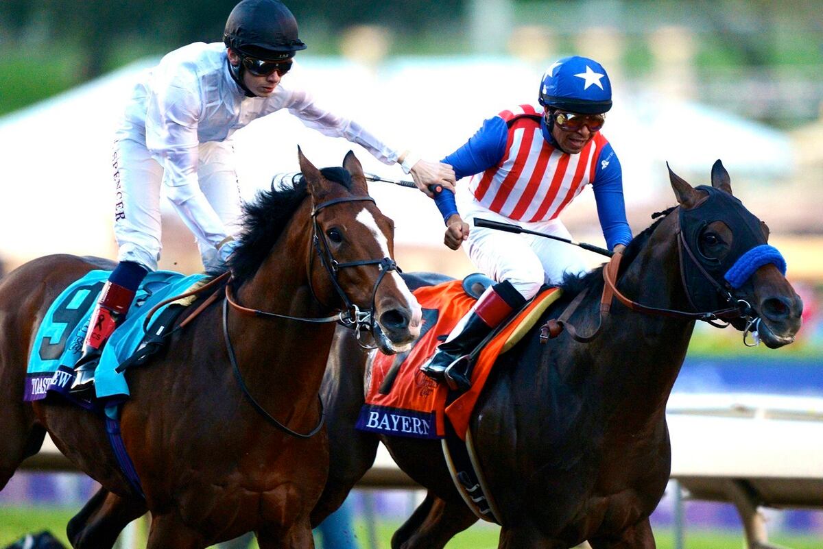 Did Bayern Deserve 2014 Breeders Cup Classic Win After Controversial Start Bleacher Report Latest News Videos And Highlights