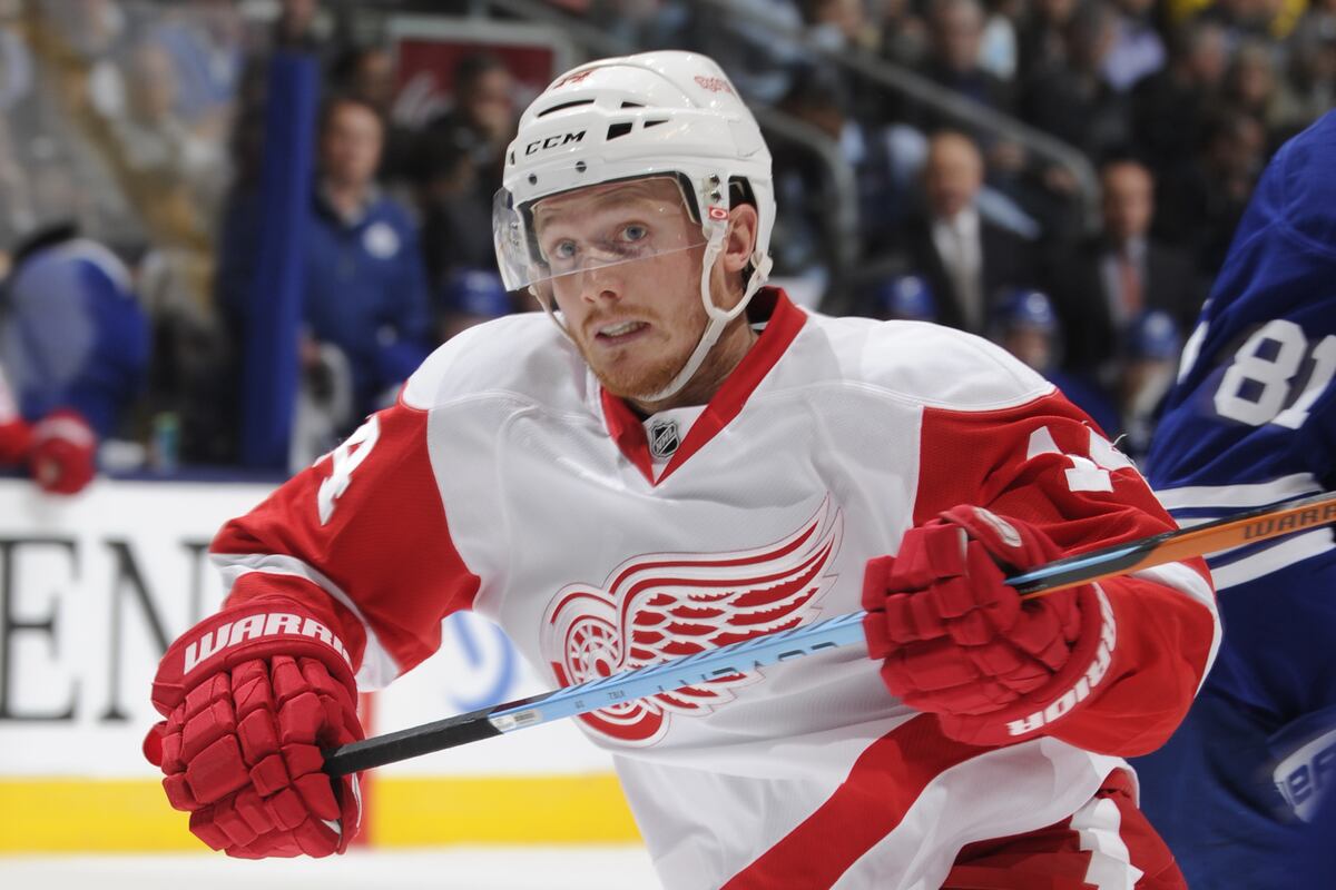 Gustav Nyquist Is Poster Child for Detroit Red Wings' Onboarding of