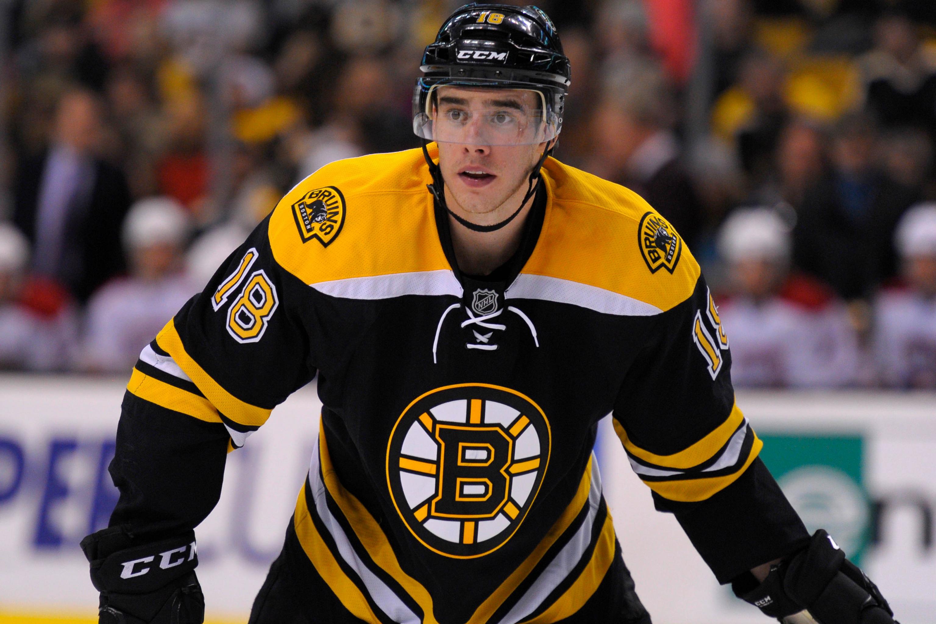 Boston Bruins' Reilly Smith making his point