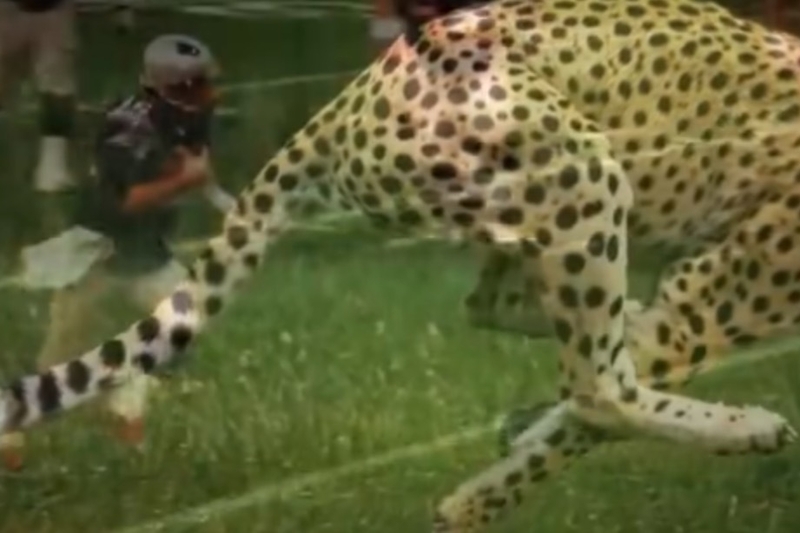 Tom Brady Shares Video Mocking His 17-Yard Scramble