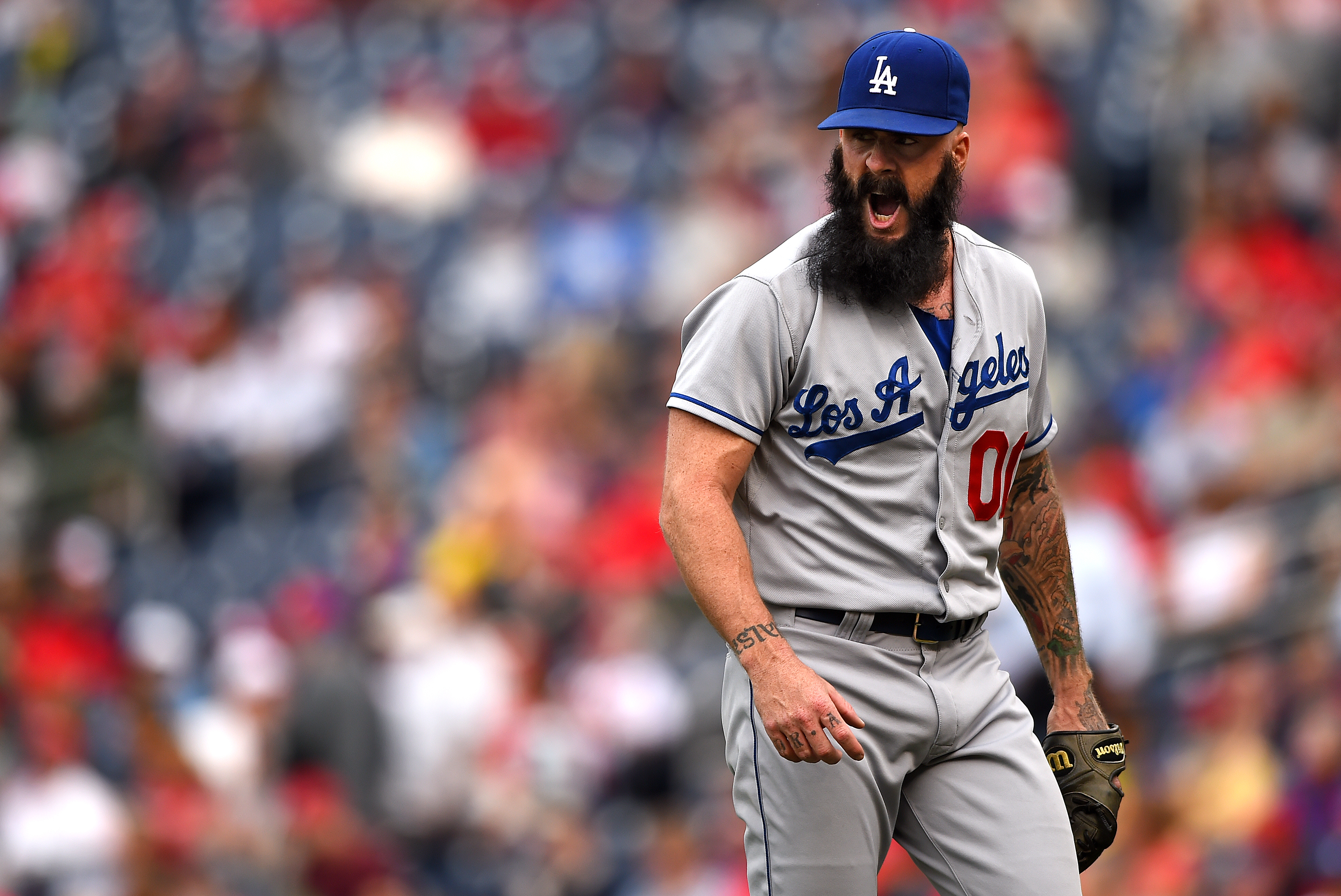 Report: All-Star closer Brian Wilson to sign with Dodgers - Sports  Illustrated