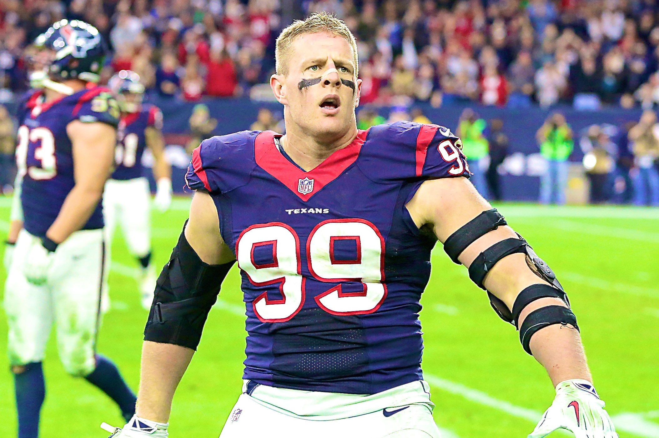 J.J. Watt Houston Texans sacks Blake Bortles Jacksonville Jaguars