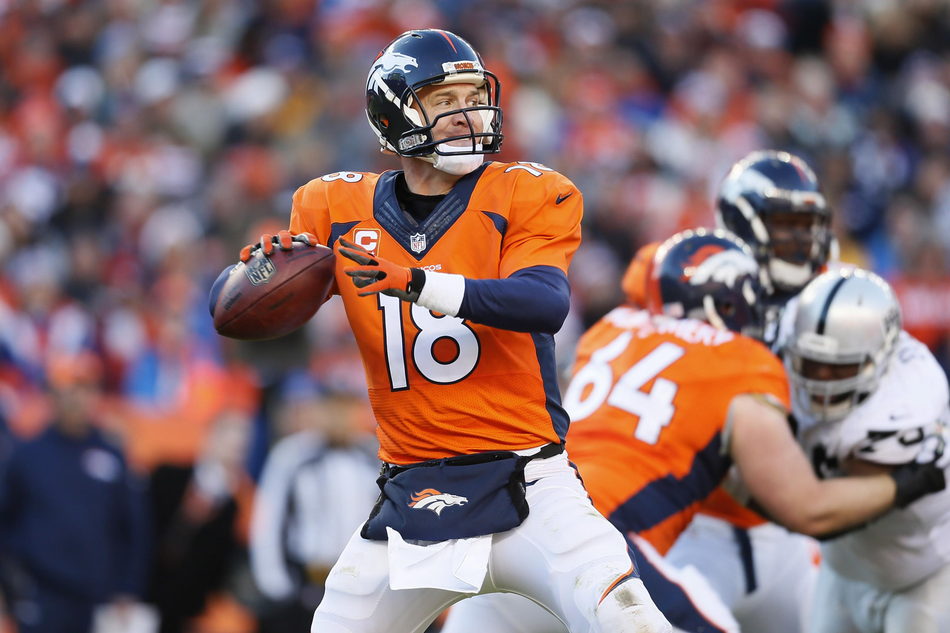 NFL Playoffs Results and Opponents 2014: Divisional round matchups