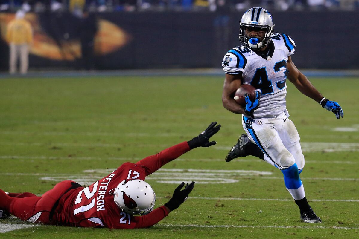 Carolina Panthers Arizona Cardinals Score: Why This Matchup Keeps Defying Logic
