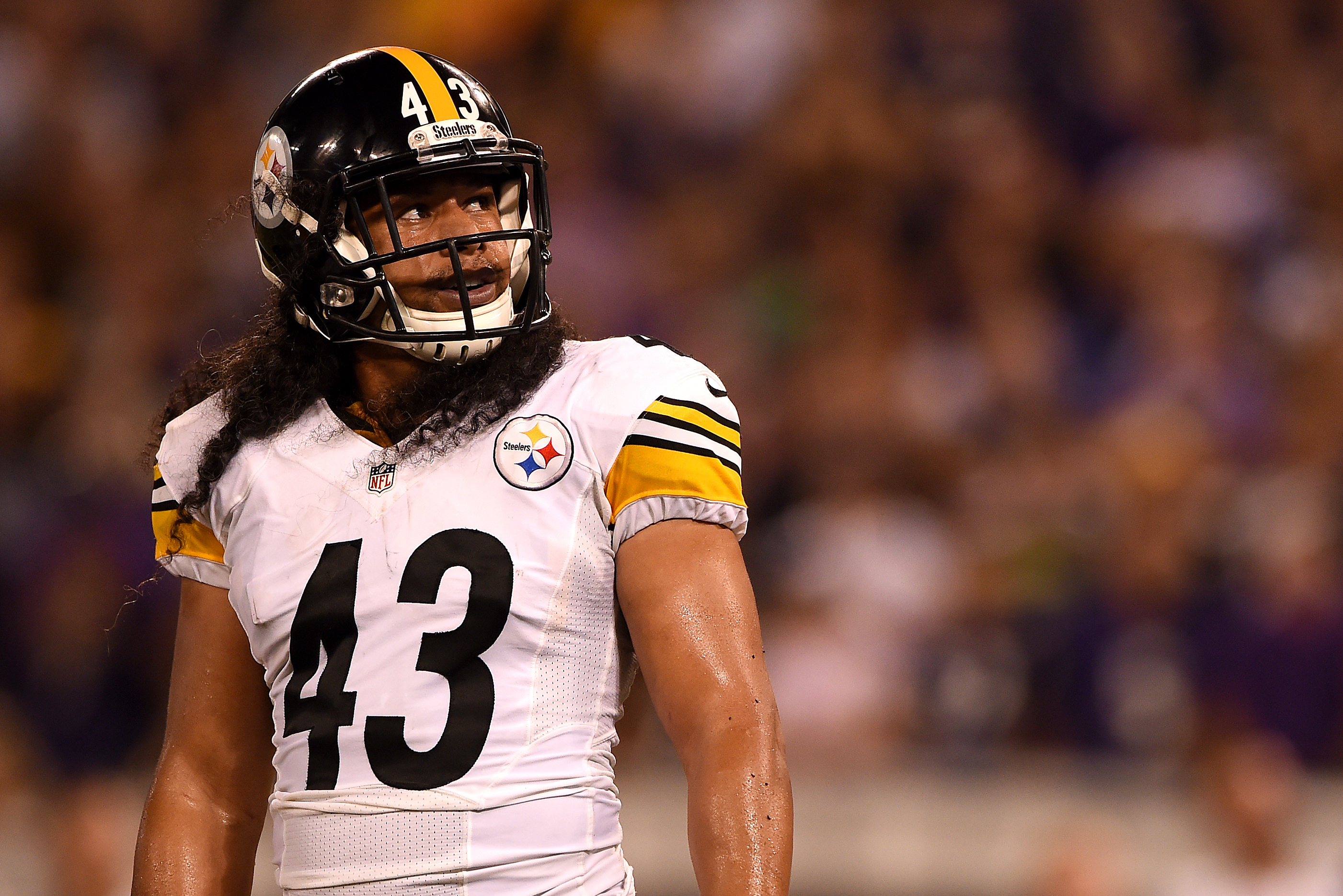 Win a signed TROY POLAMALU jersey or signed football: Free to enter! –  FOCUS North America