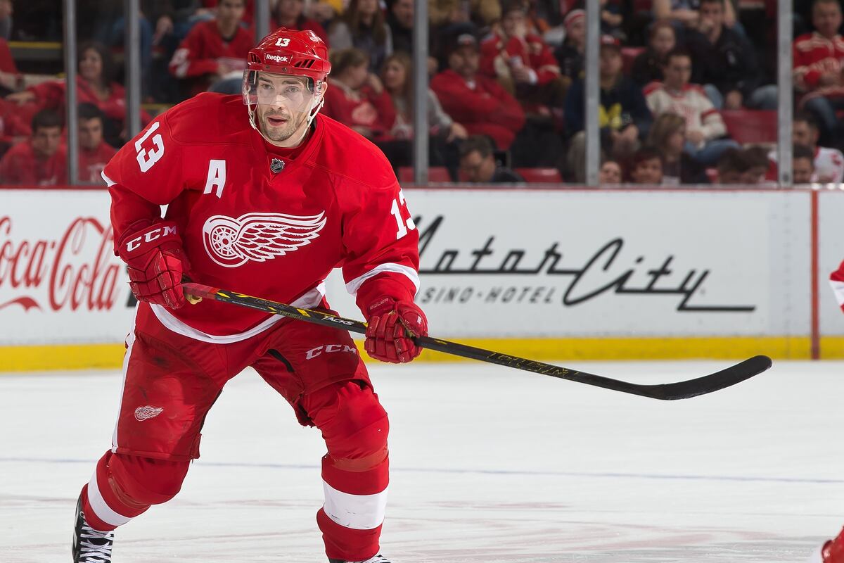 The Best Highlights for the Detroit Red Wings' Stars in 201415 News