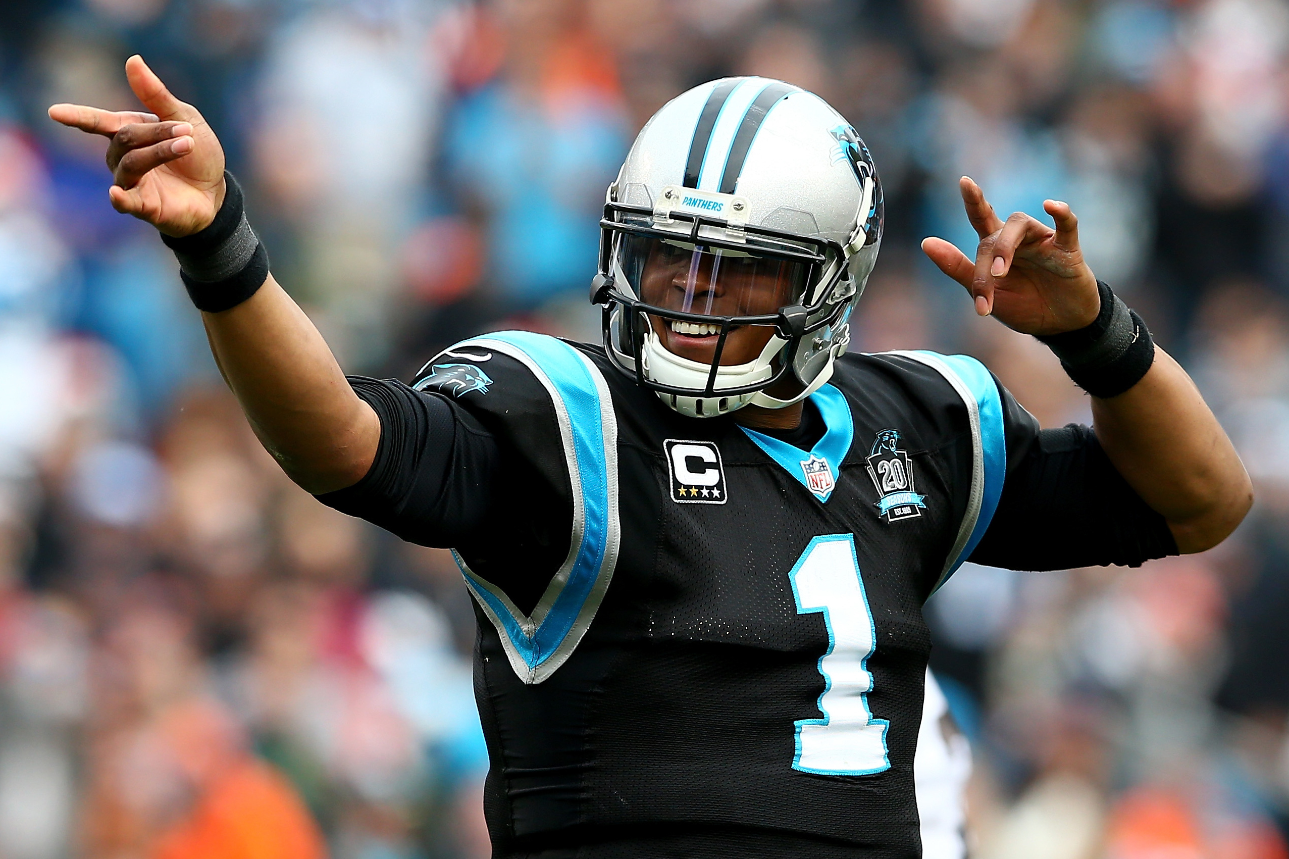 2014 NFC South Division Champions - Panthers finish 7-8-1  Carolina  panthers football, Carolina panthers, Panthers football