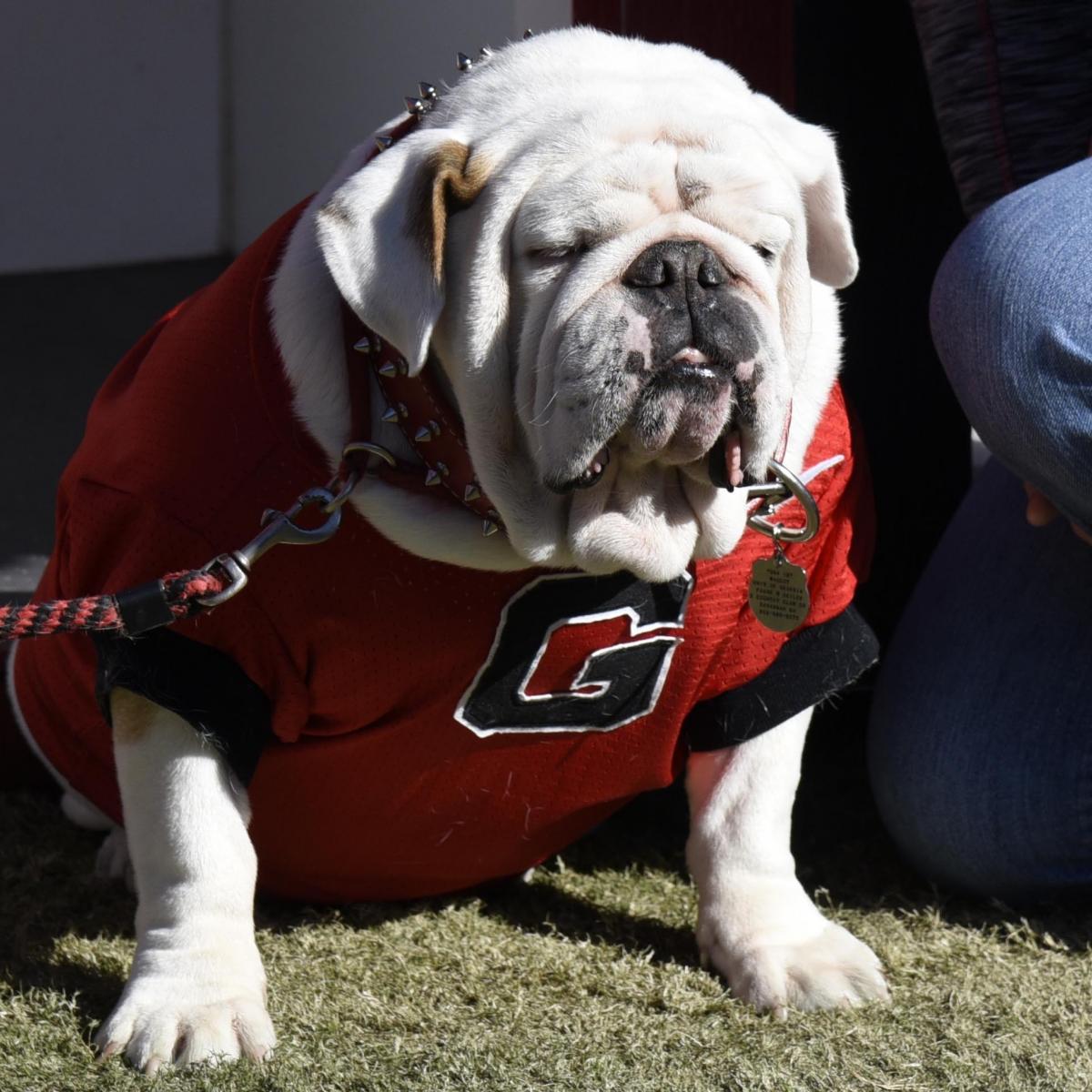 Georgia Football: 5 Commits Who Will Start a Game in 2015 for the ...