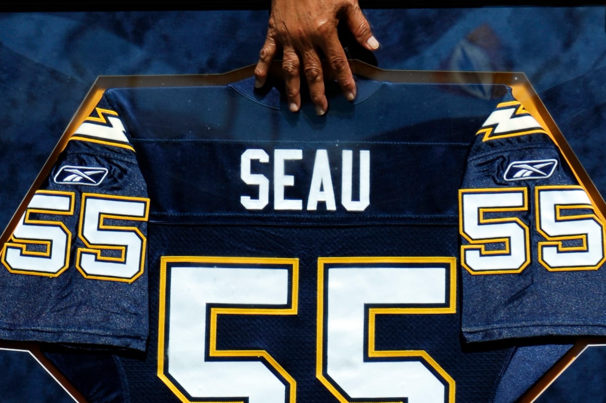 Pro Football Hall of Fame 2015: NFL Inductees, Class Finalists and ...