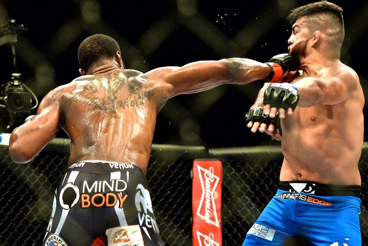 UFC 183 Results Matches to Make for the Winners and Losers News