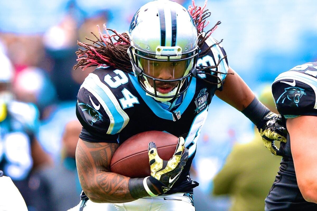 DeAngelo Williams Released by Panthers: Latest Details, Comments and
