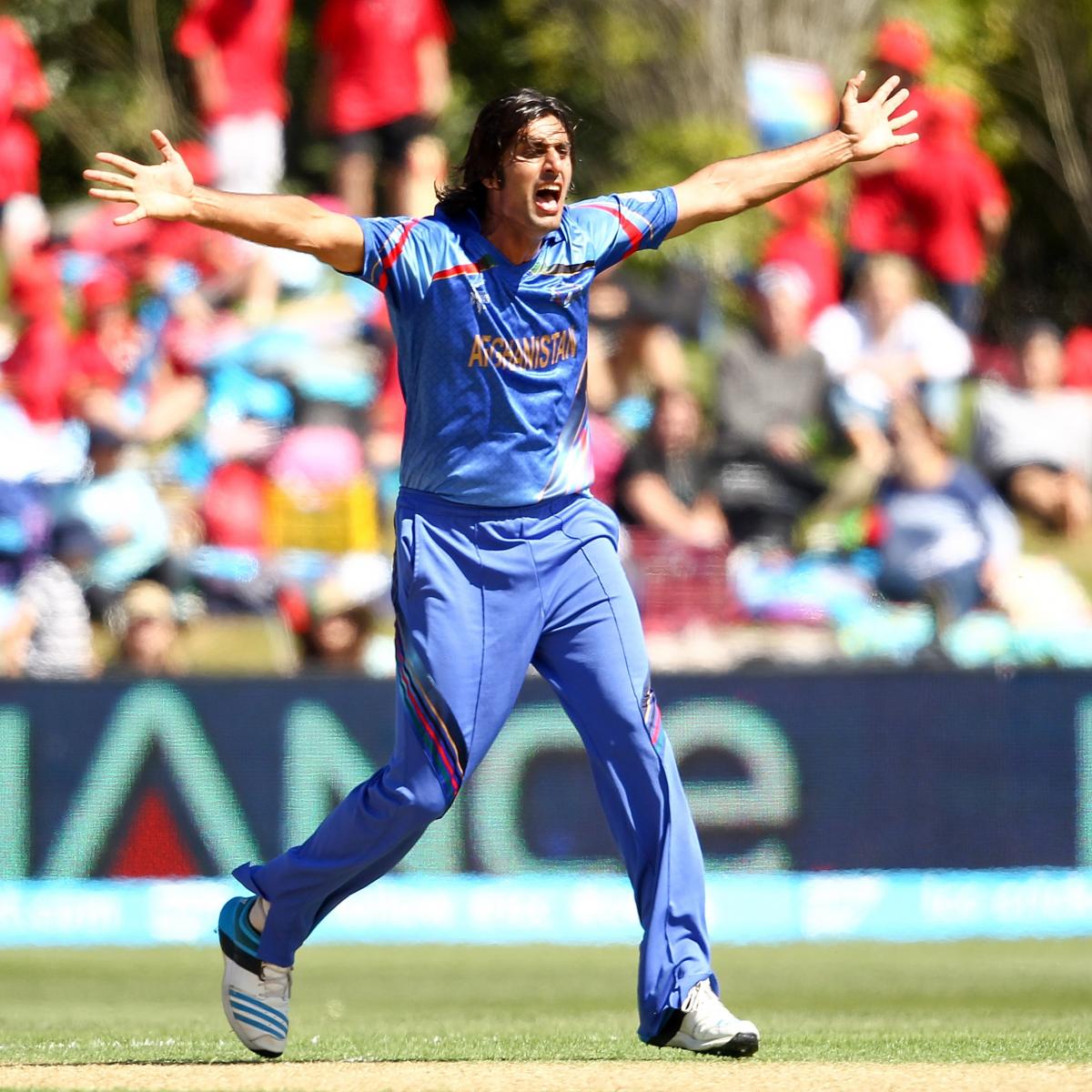 world cup cricket results google search
