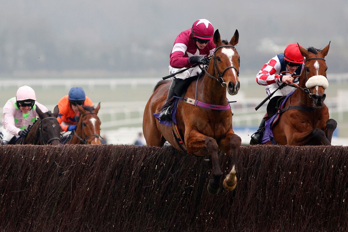 Cheltenham Festival 2015 Results, Winners, Payouts and More from