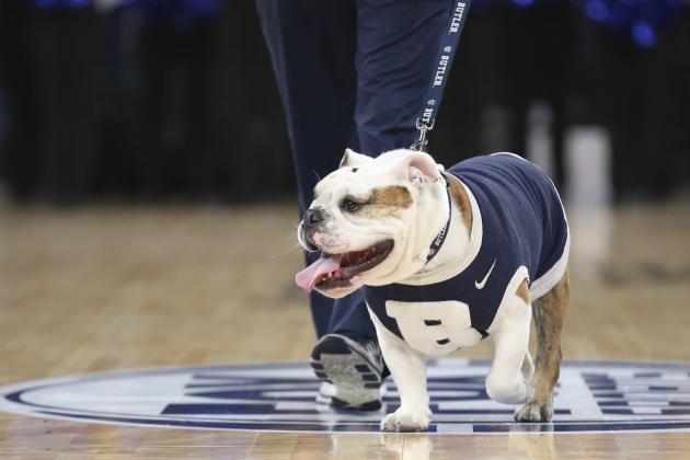 The Butler mascot bulldog walks on the court during a time out in the second half of an NCAA men's college basketball game against Seton Hall in the first round of the Big East basketball tournament at Madison Square Garden, Wednesday, March 12, 2014, in New York. Seton Hall defeated Butler, 51-50. (AP Photo/John Minchillo)