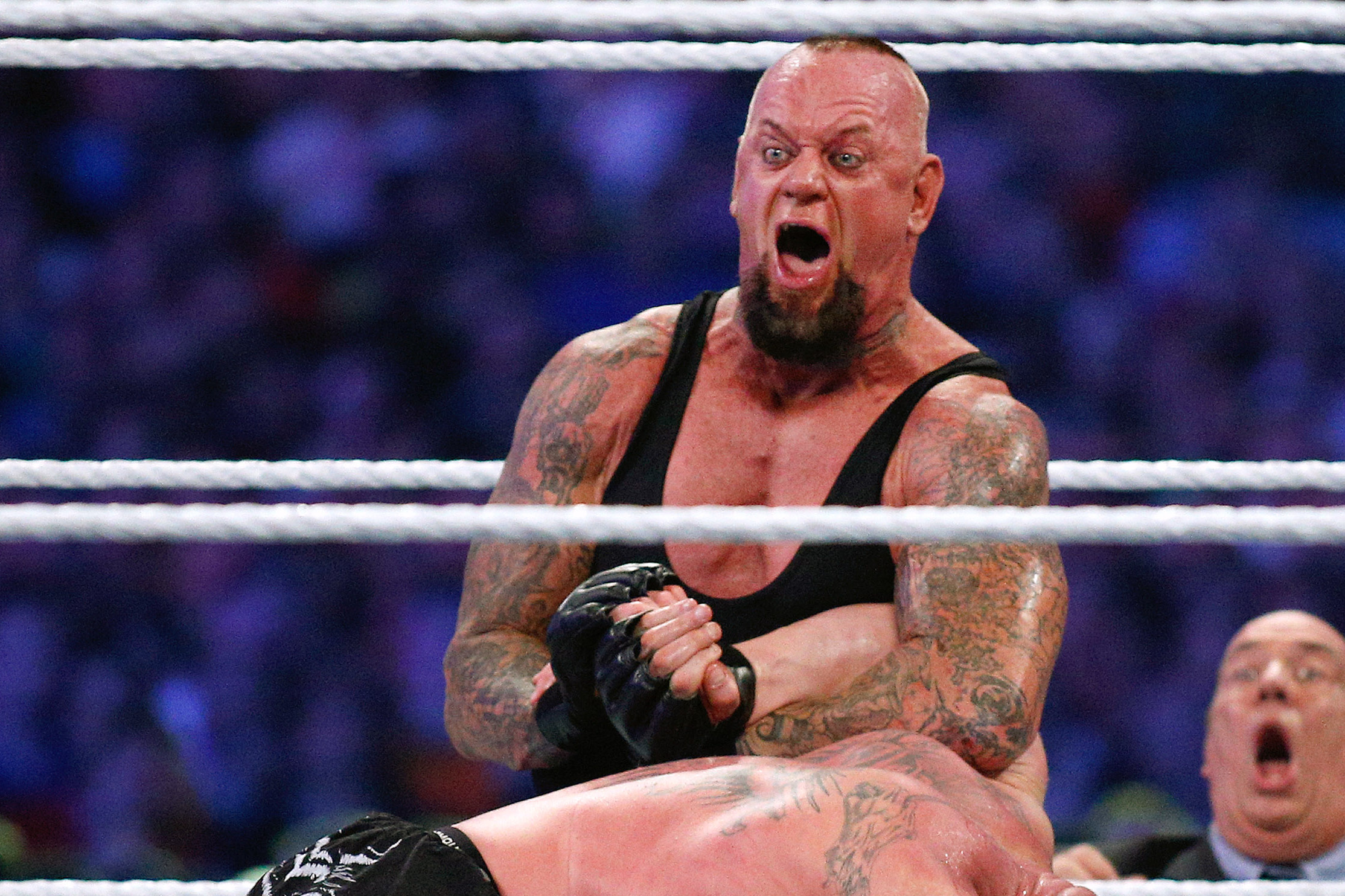 wwe sting vs undertaker wrestlemania 31