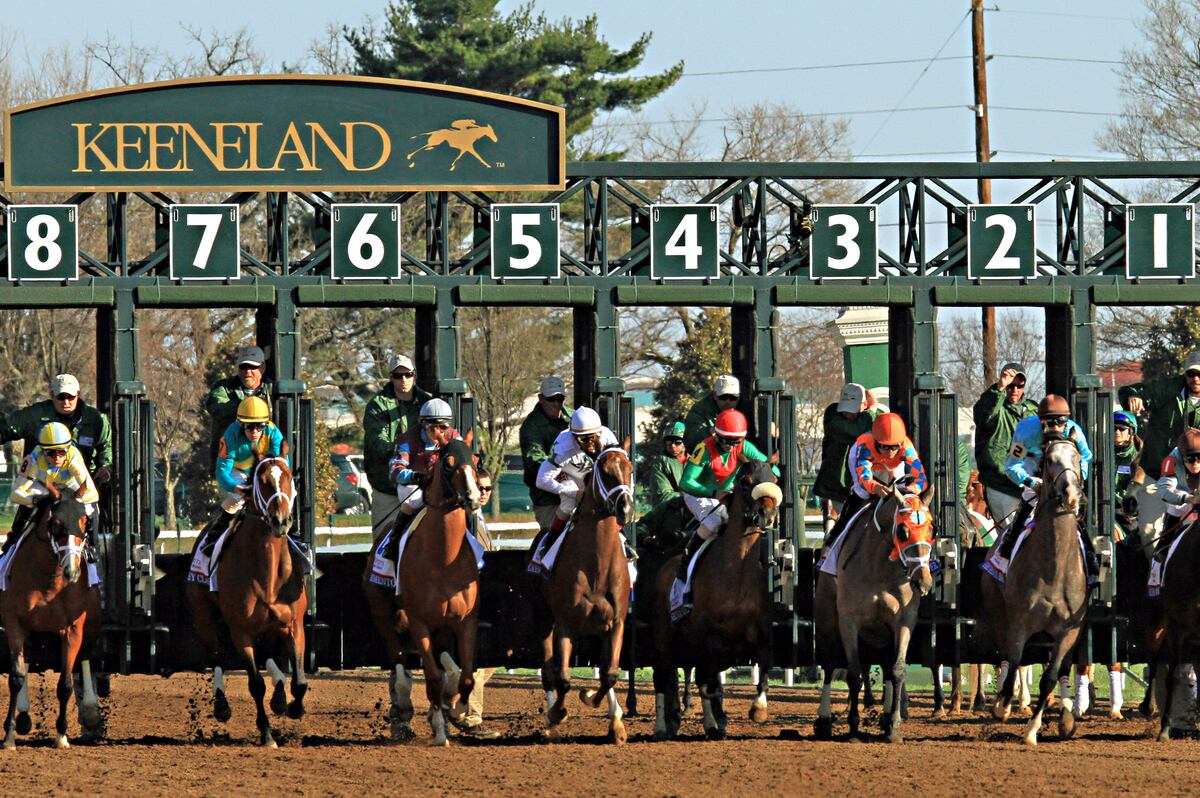 Lexington Stakes 2015 TV Schedule, Post Positions, Contenders and More