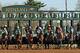 Horses break from the gate to start the 91st running of the Blue Grass Stakes horse race at Keeneland Race Course in Lexington, Ky., Saturday, April. 4, 2015. (AP Photo/Garry Jones)