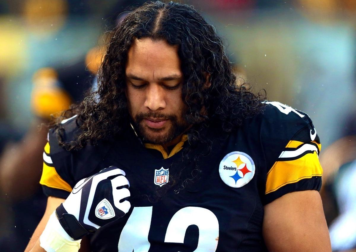 troy polamalu pop