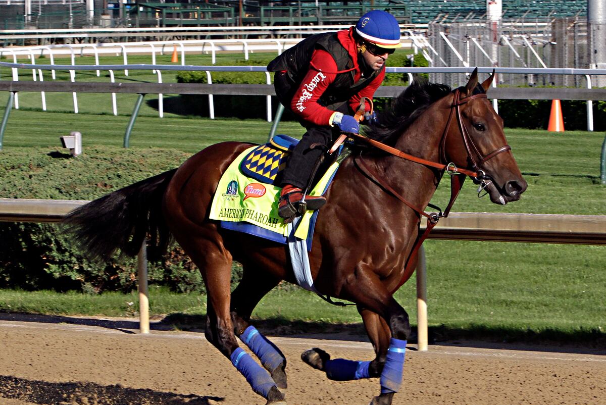 Kentucky Derby Odds 2015 Early Look at Vegas' Lines for Each Horse in