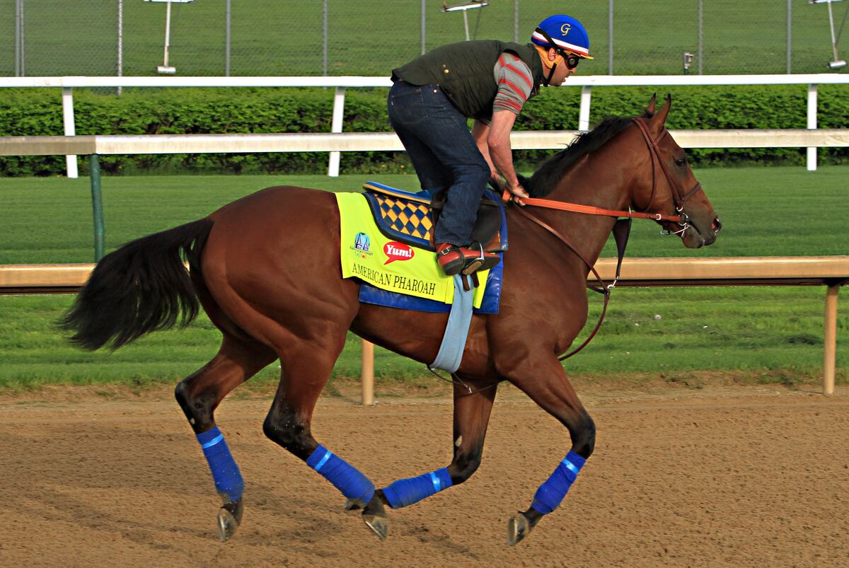 Kentucky Derby Contenders 2015 Horses and Jockeys Worth Backing in