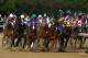 LOUISVILLE, KY - MAY 03: California Chrome #5, ridden by Victor Espinoza, comes out of the third turn enroute to winning the 140th running of the Kentucky Derby at Churchill Downs on May 3, 2014 in Louisville, Kentucky. (Photo by Andy Lyons/Getty Images)