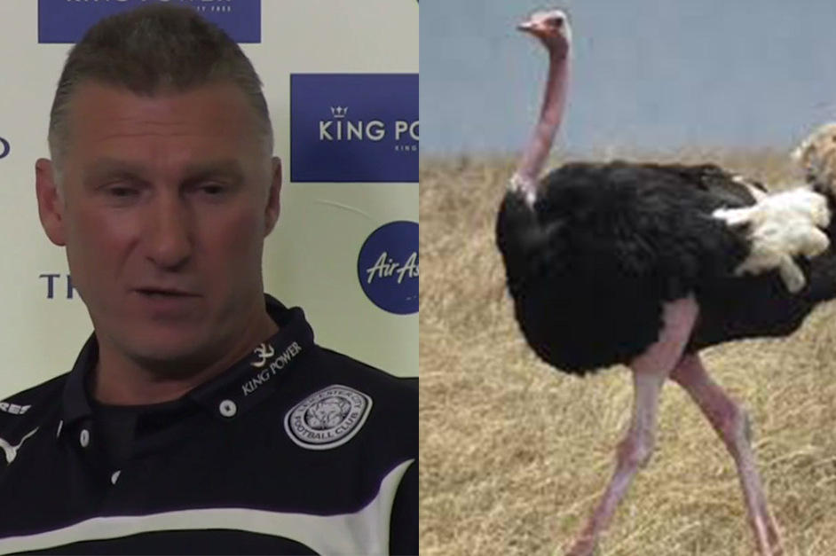 Leicester City Boss Nigel Pearson Goes on Wild Rant, Calls Journalist an  Ostrich | Bleacher Report | Latest News, Videos and Highlights