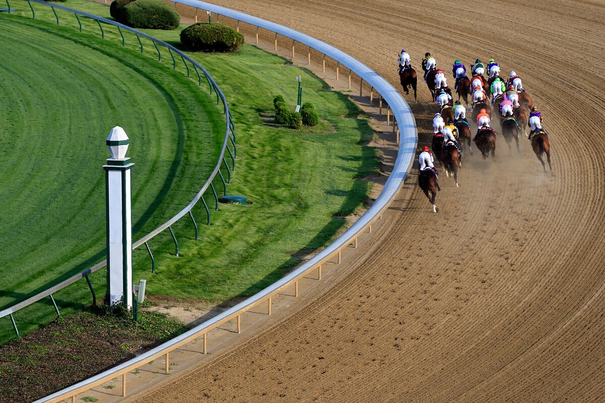 2015 Kentucky Derby Post Positions and Odds for Horse Entries in 141st