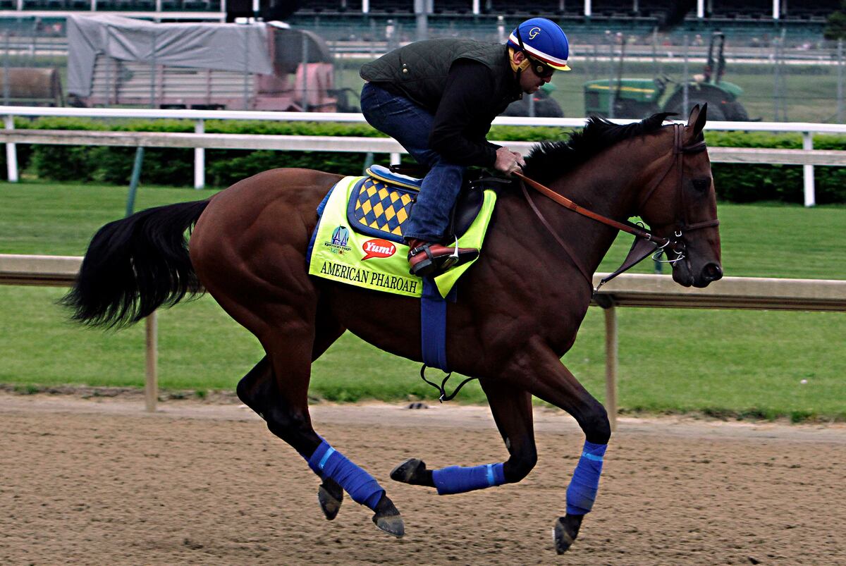 Kentucky Derby Schedule 2015 Race Start Time, TV Coverage and Live