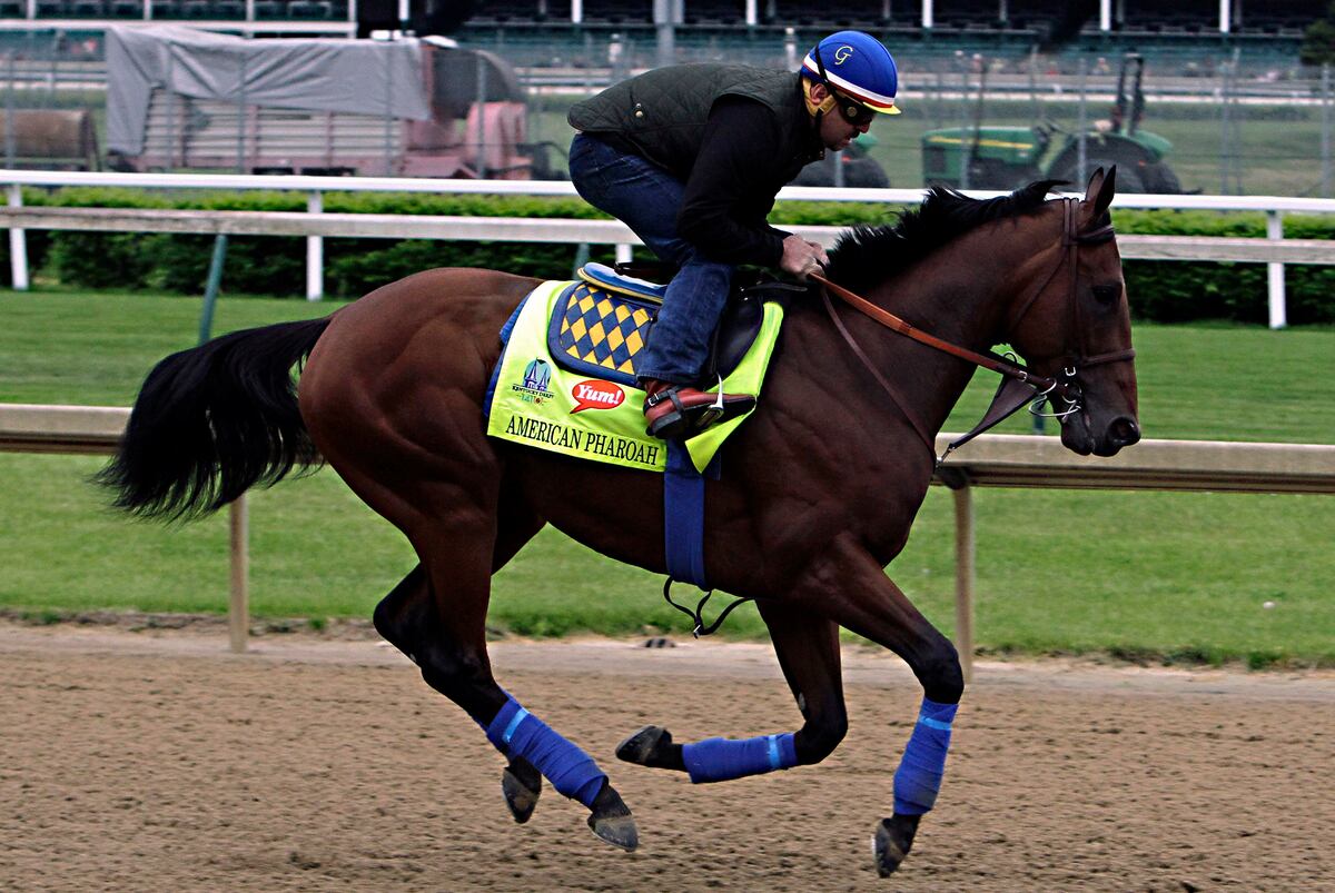 Kentucky Derby 2015 Odds: Best and Worst Horse-Jockey ...
